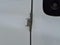 2021 Chevrolet Express Cargo 2500 RWD 2500 Extended Wheelbase WT