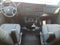 2025 Chevrolet Express Cargo 3500 WT